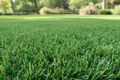 Artificial Turf
